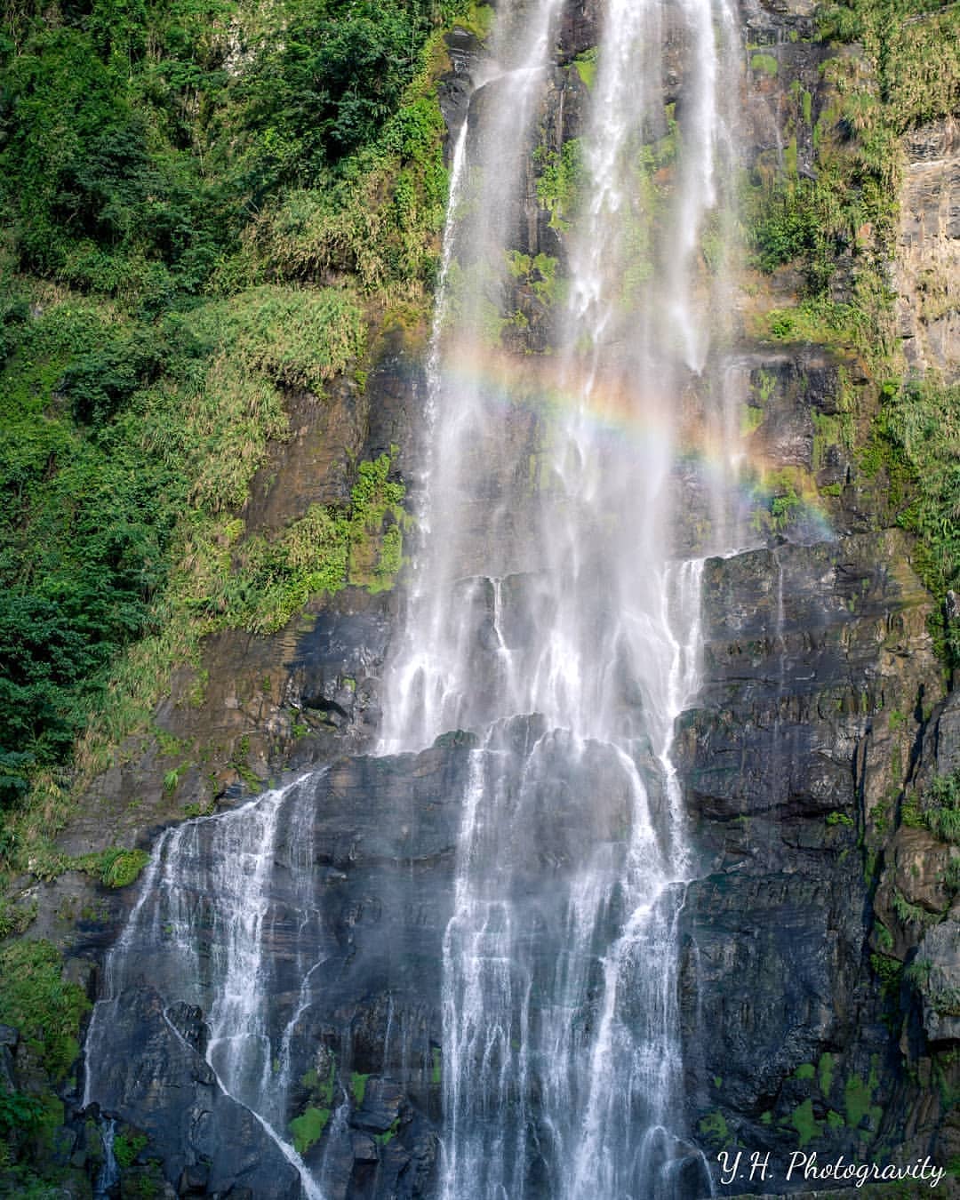 Take quick action to capture the limited beauty of summer.