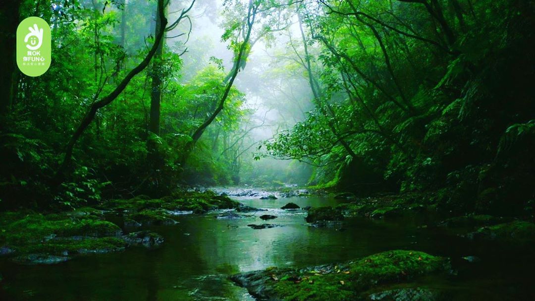 【美景森呼吸豪紓壓】