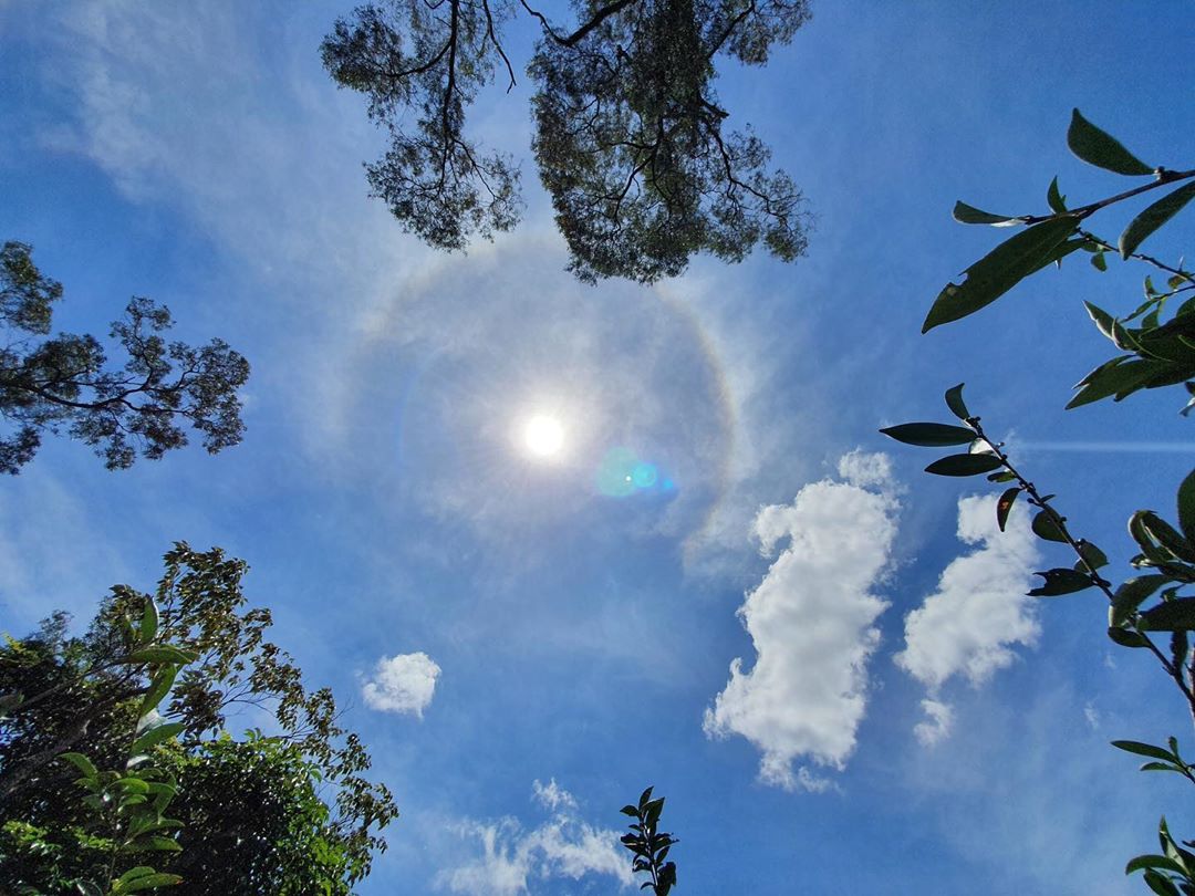 絕美幻日環今天全台都有機會看見！尤其西部條件更好～