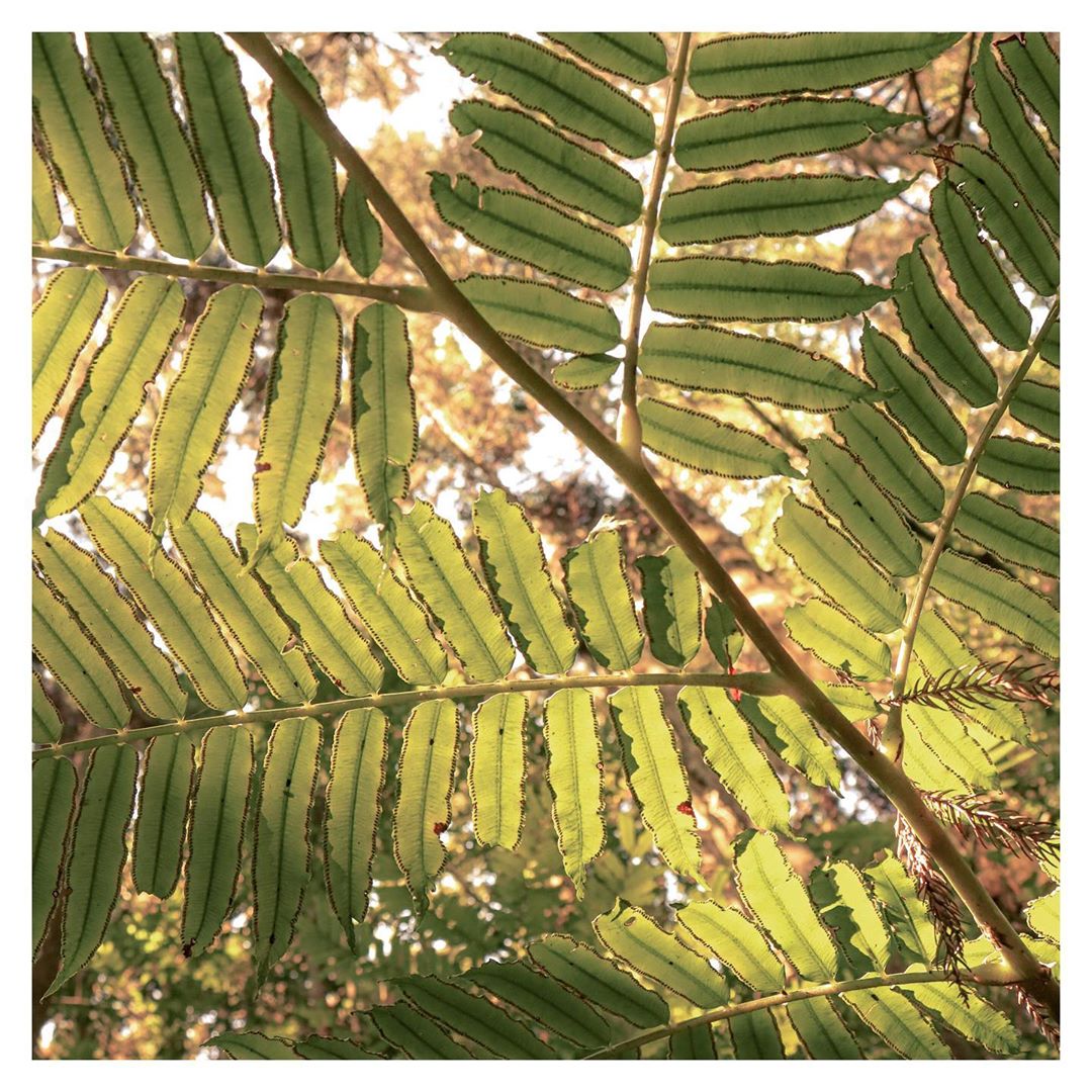 #美景森呼吸豪紓壓