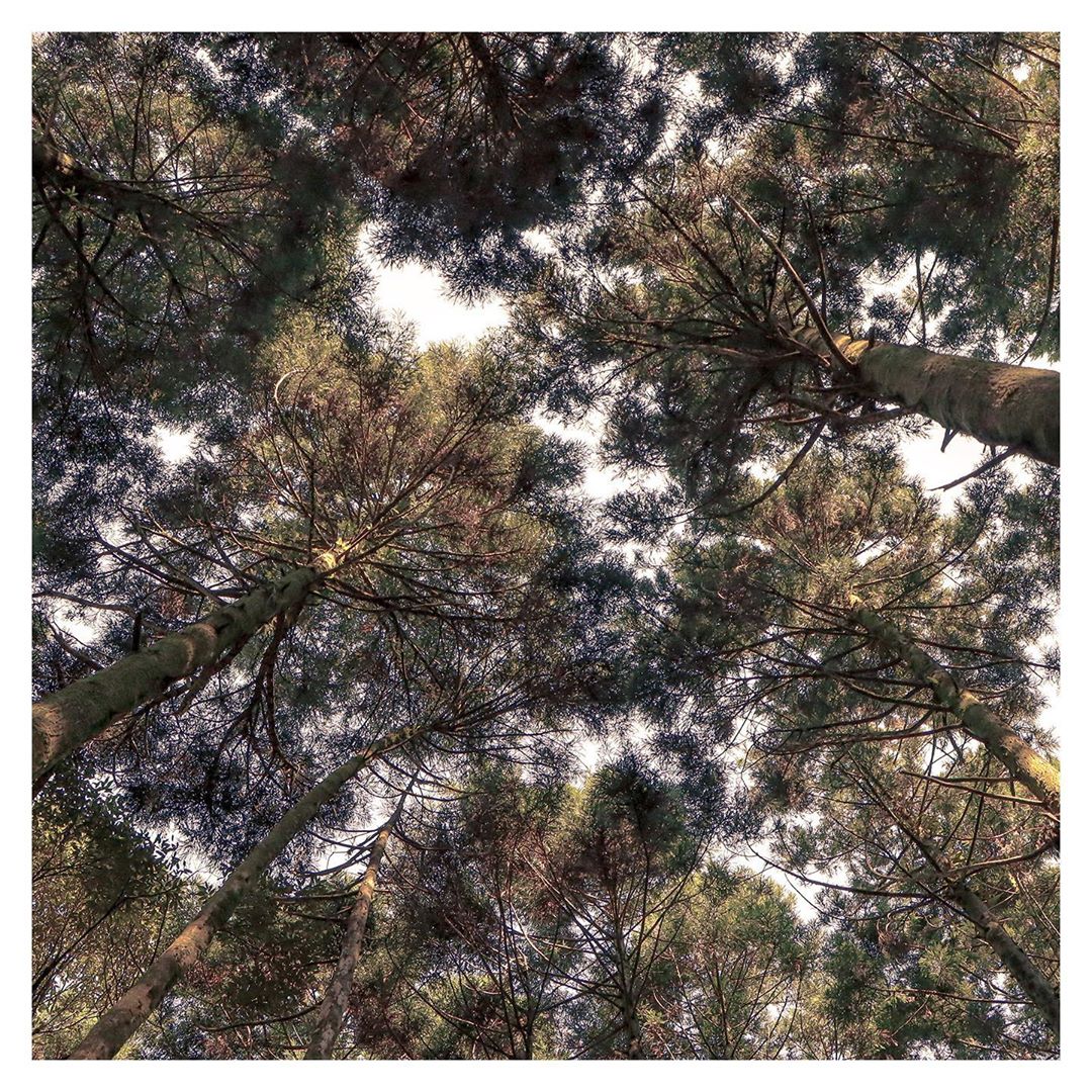 #美景森呼吸豪紓壓