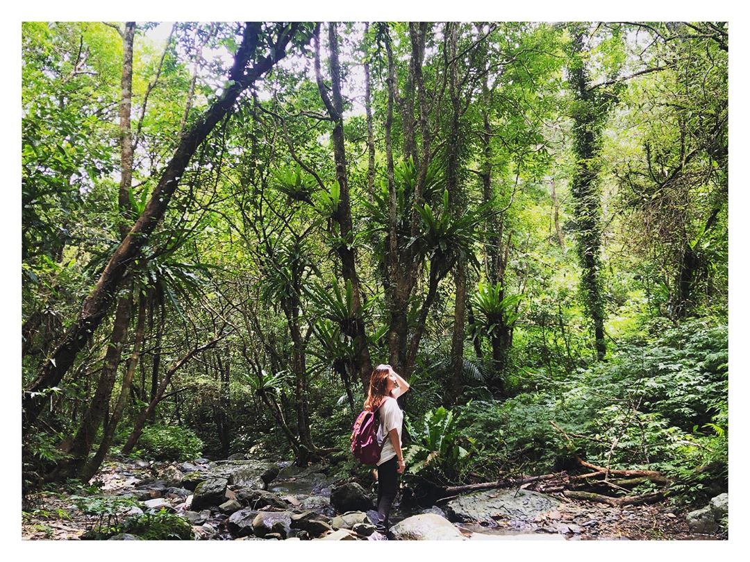 讓努力成為一種習慣　