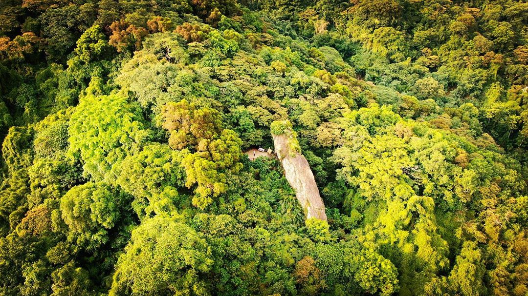 31億是別人的還好離職單還沒交沒辦法買公司當老闆的老闆......