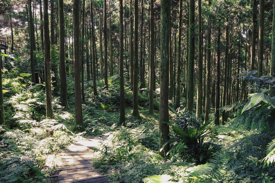 被生活壓得快喘不過氣時，有沒有一個地方，可以讓你暫時逃離喧囂、遠離現實。