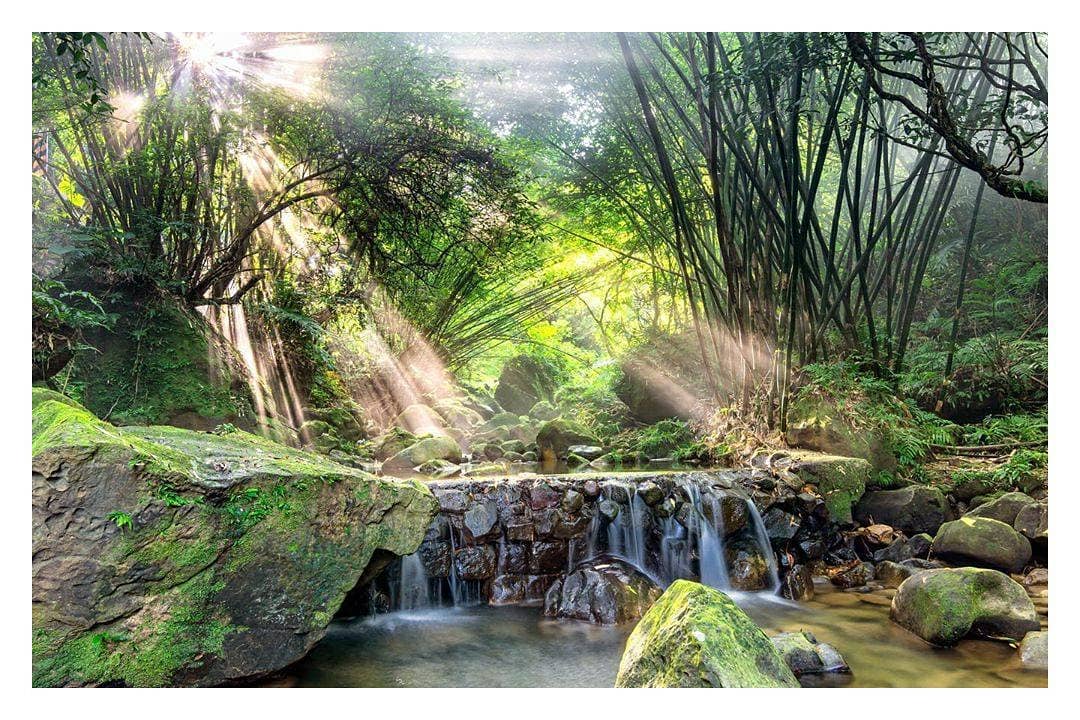 The sense of autumn is getting stronger and the weather is turning cold, pay attention to the temperature difference when going out！