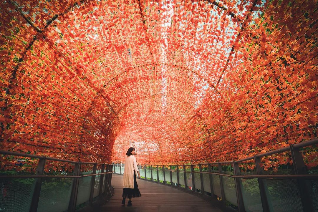 #2020新北歡樂耶誕城