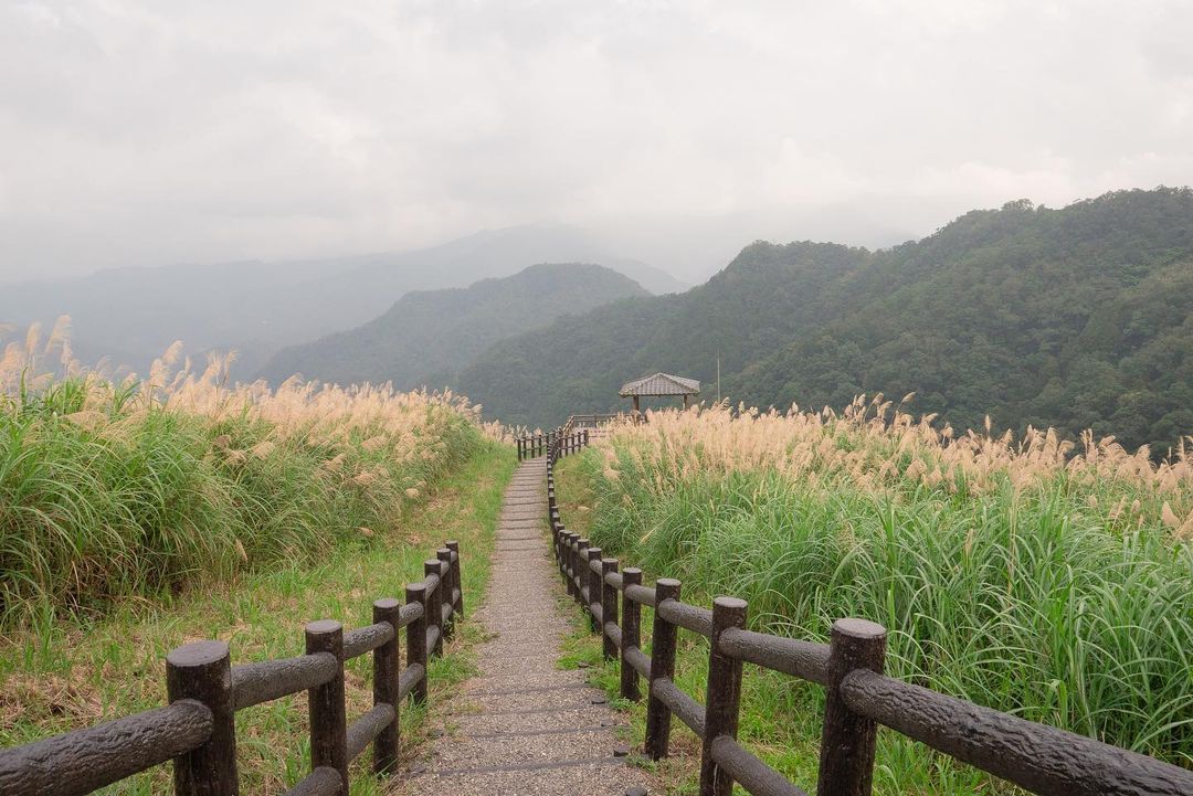 心之所向的地方。