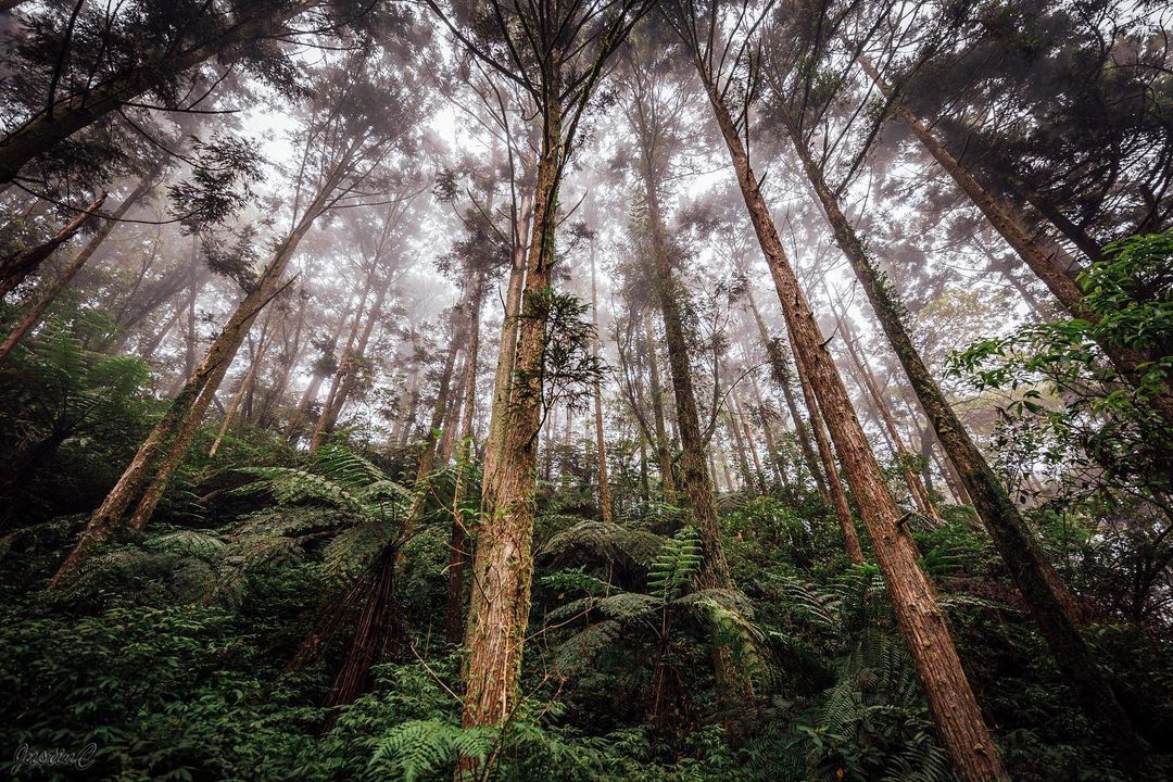 大地都被秋天染色了