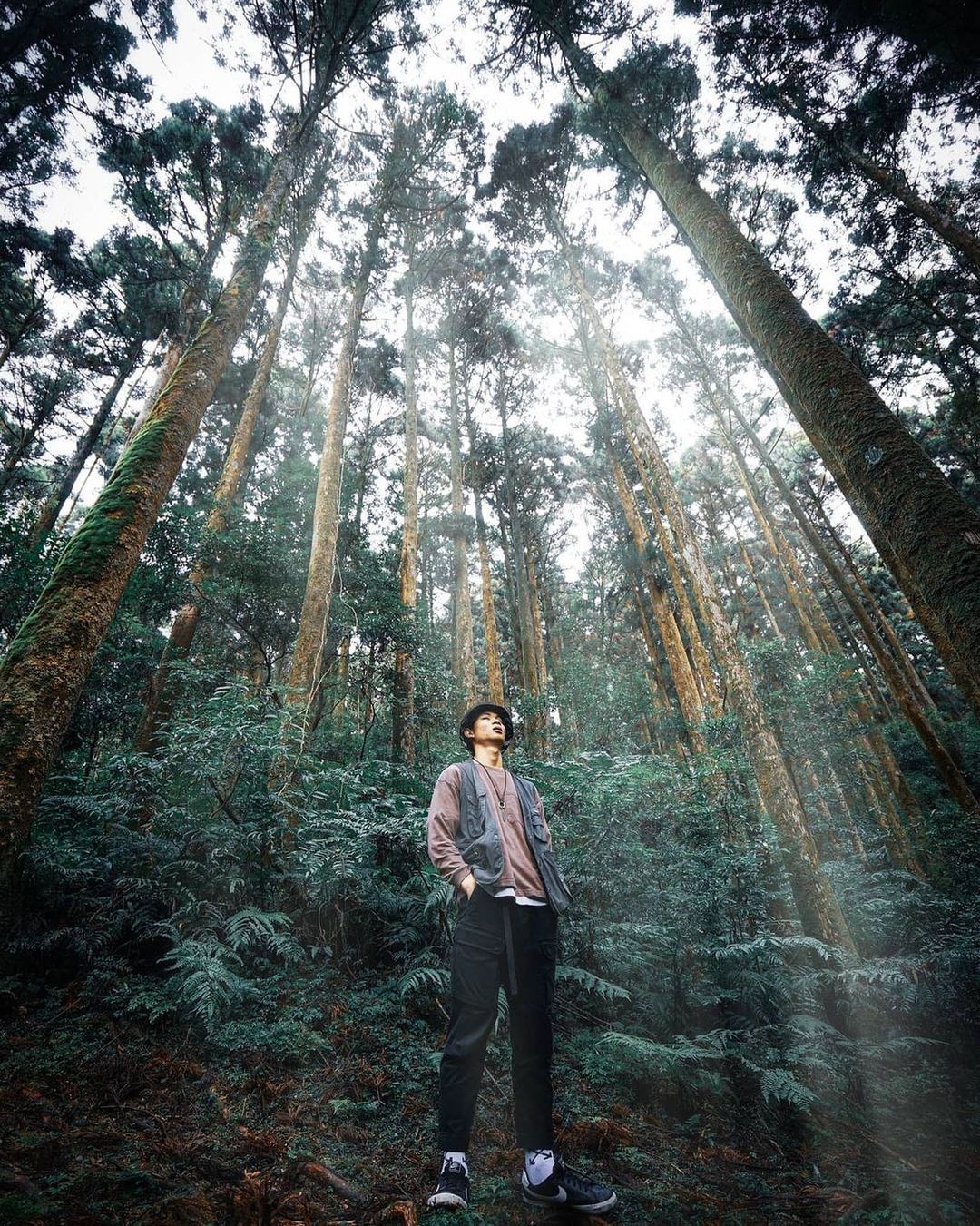 腳踏實地，成功的曙光會照耀這片土地。