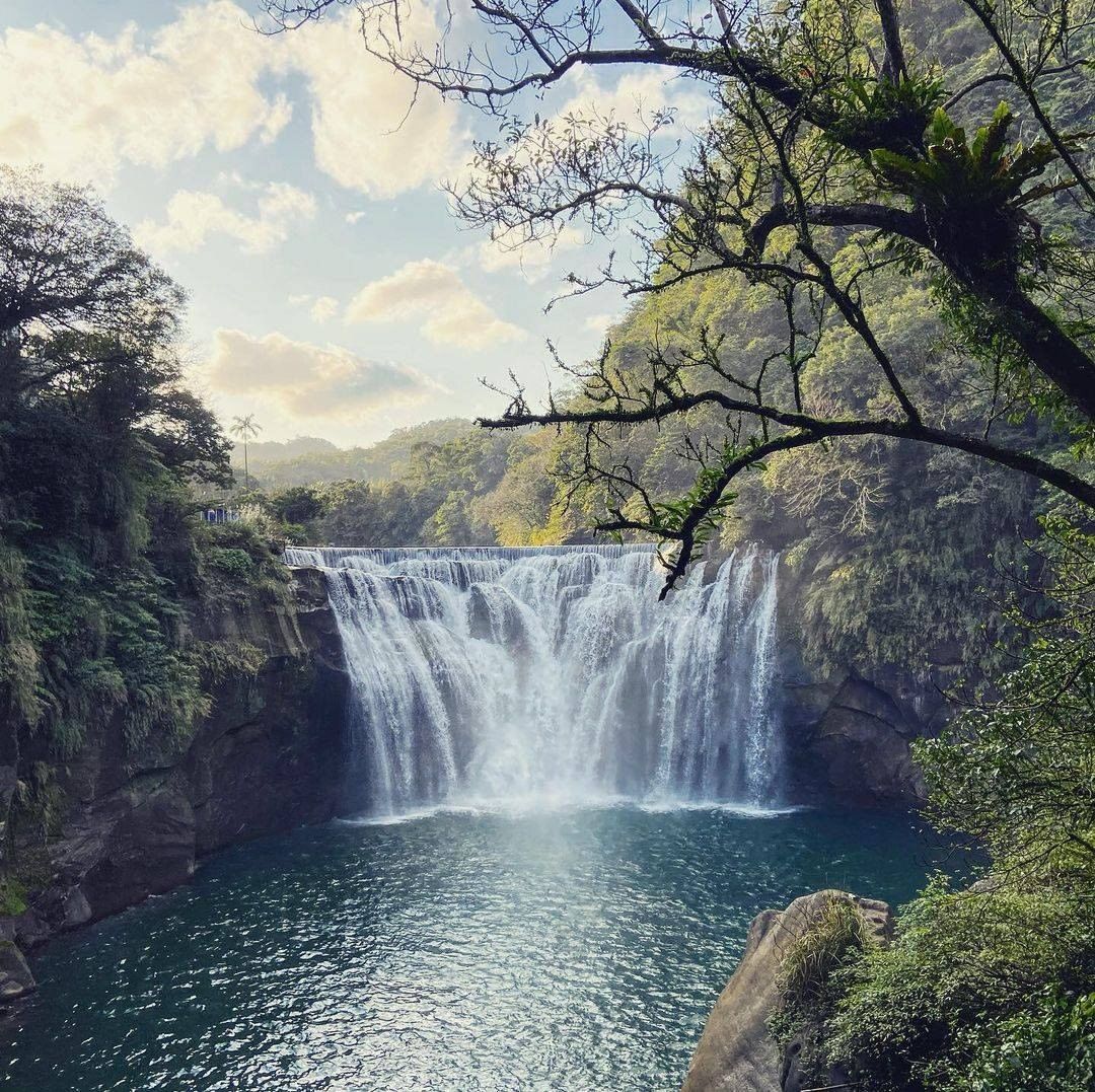 遠眺晴朗的天空，呼吸著林間的芬芳，
