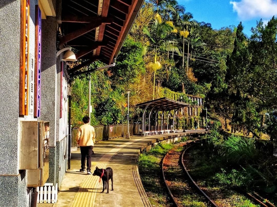 來到這座落在山腳下的車站，安詳且寧靜，能遠離都市的喧囂，拋開那些日常的煩惱。