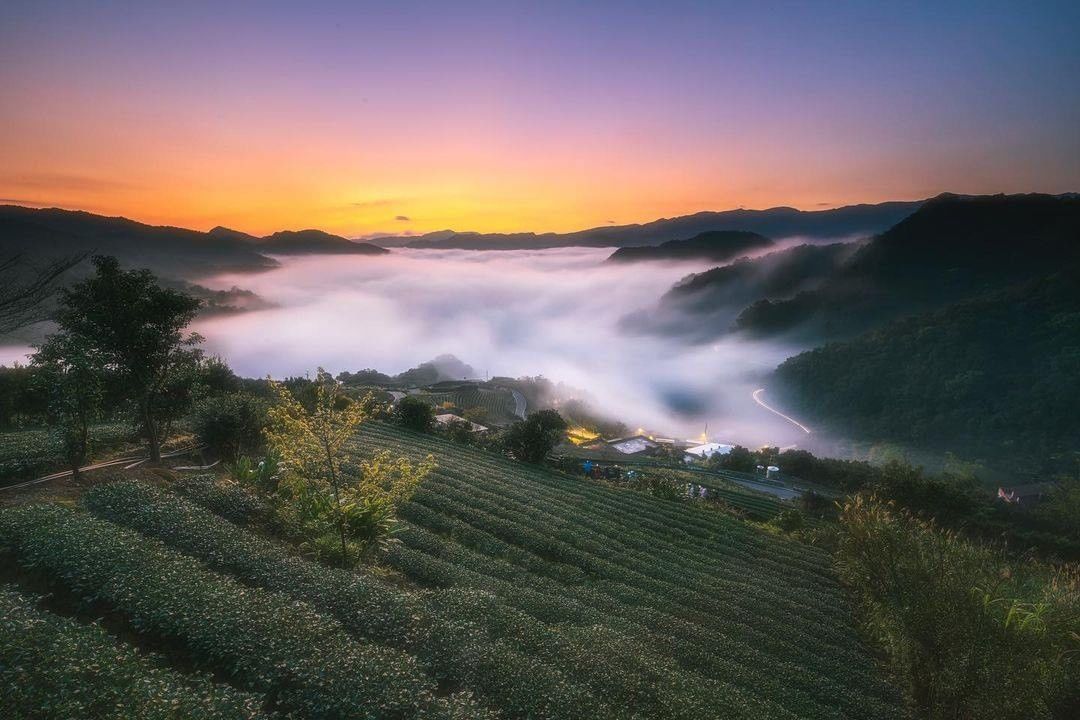 南山寺茶園晨曦，迎來全新的一年☀