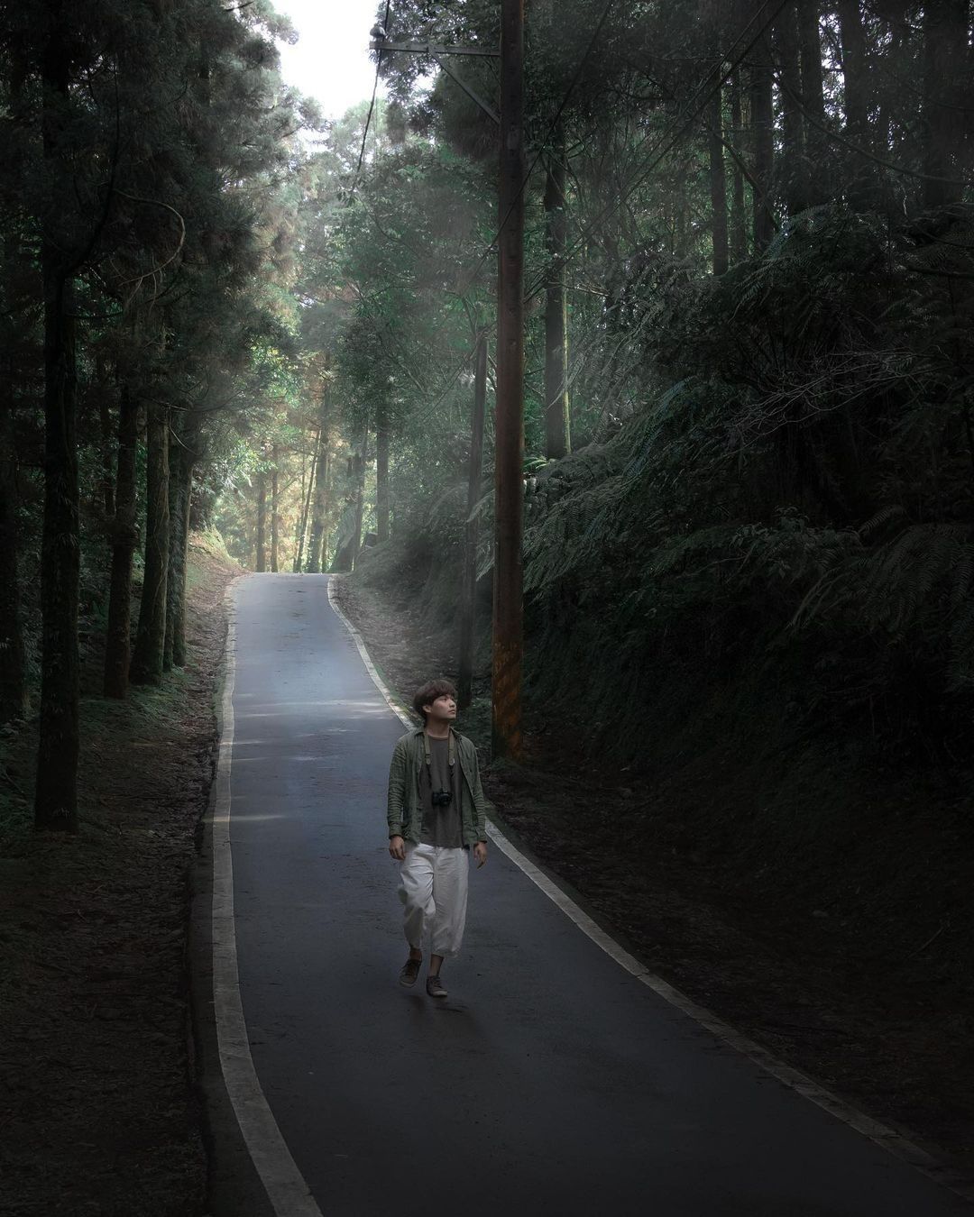 曾經是清朝時期的主要交通路線,如今是登山健行者的私藏秘徑,這條百年古道蘊含了歷史、文化與生機。