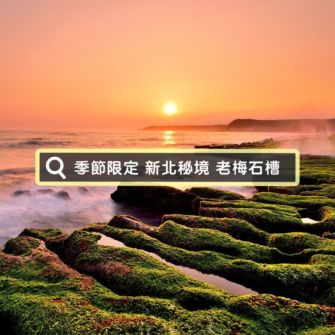 又到了老梅石槽變綠的季節了！