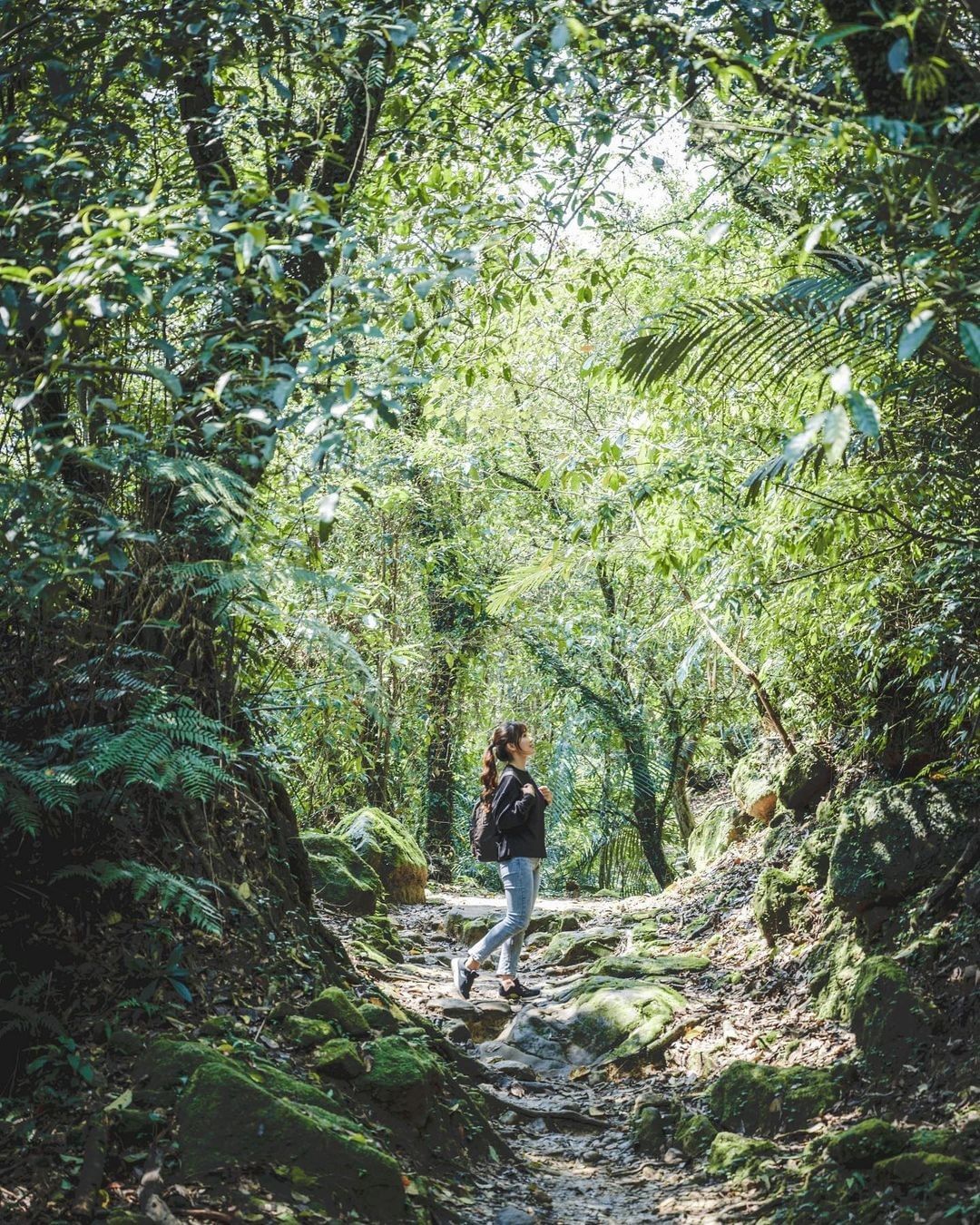 這段步道不僅長度適中，坡度不大，還能欣賞周邊壯觀的瀑布與特殊地形美景，是喜愛健行朋友的好選擇 