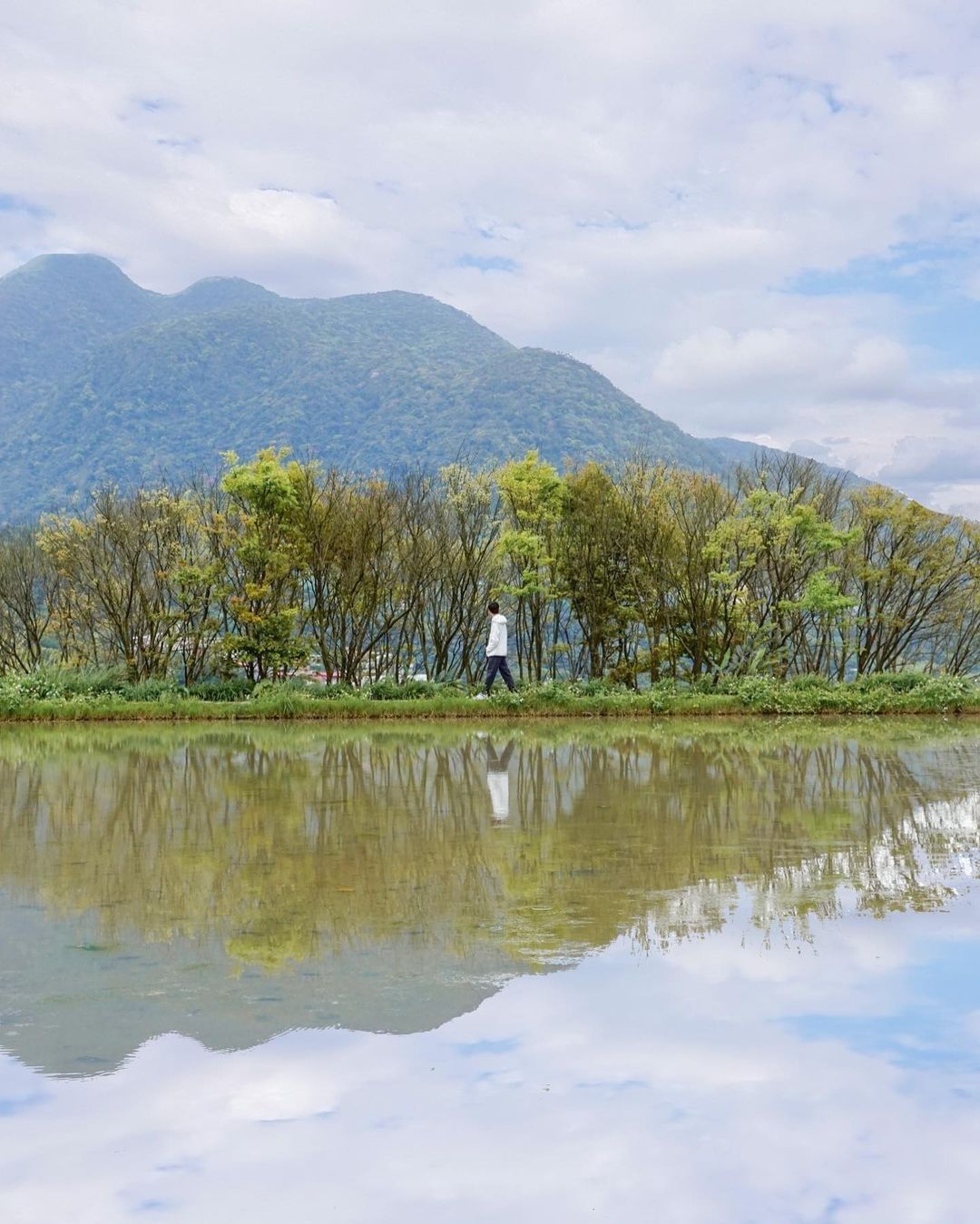 湖光似鏡美如一幅畫，照映出顛倒世界，哪個是真？哪個是假呢？