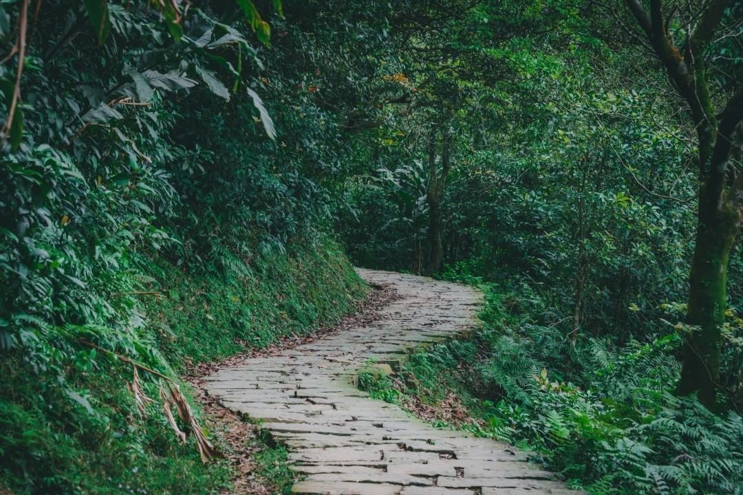 漫步在鬱鬱蔥蔥的古道，聽著潺潺溪水聲，好不愜意吶 (　◜◡‾)