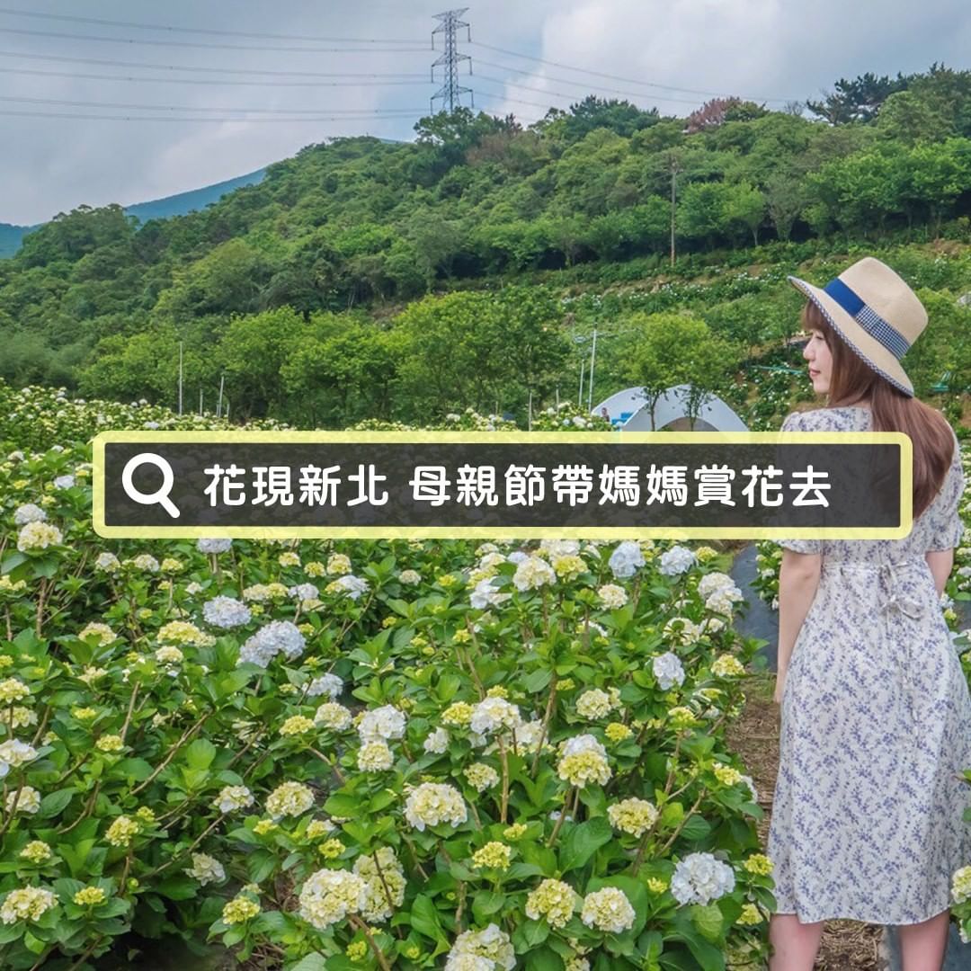 母親節要到了！帶媽媽賞花去 ٩(ˊᗜˋ )و