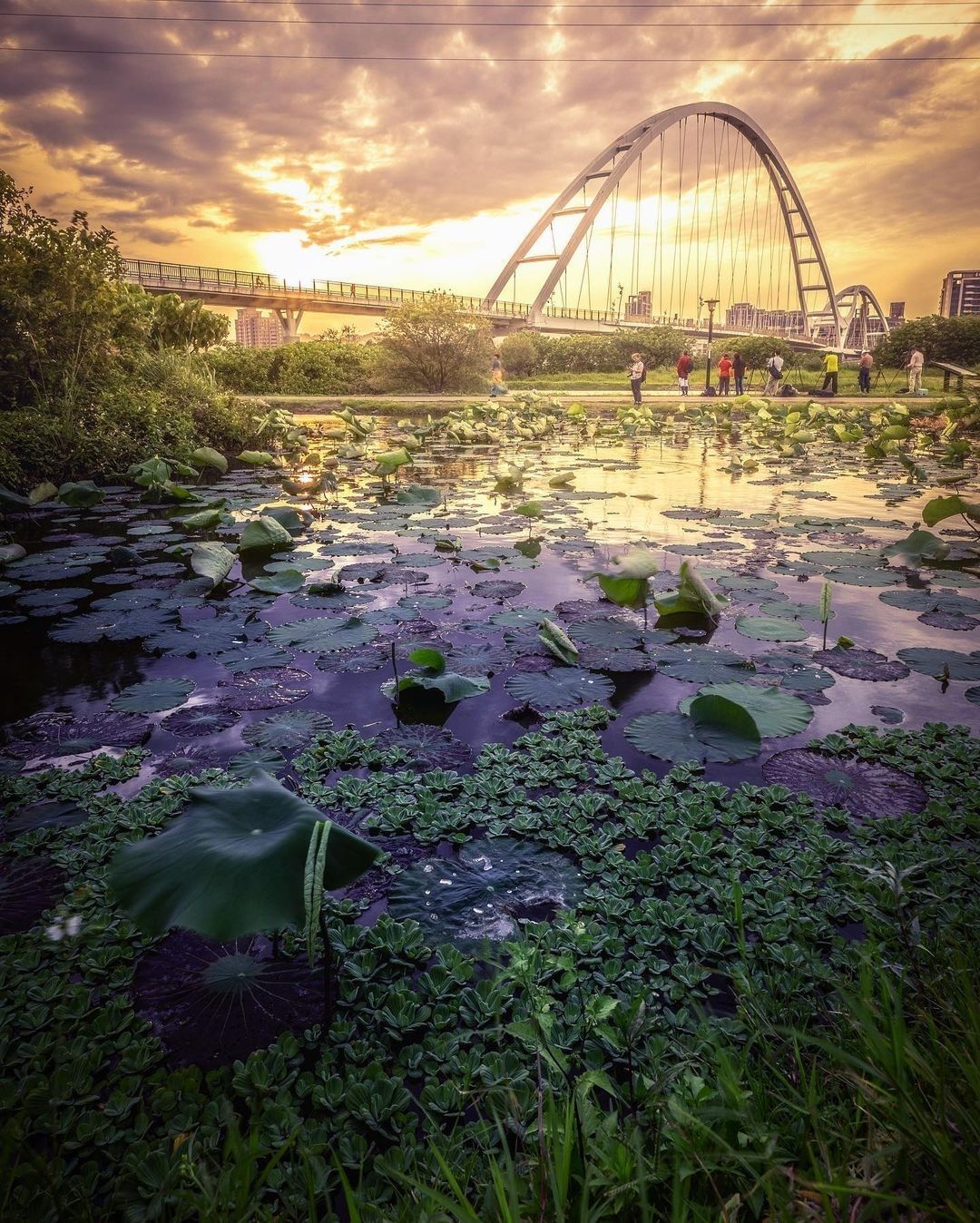 用心看，生活處處是驚喜 (*' v`*) 