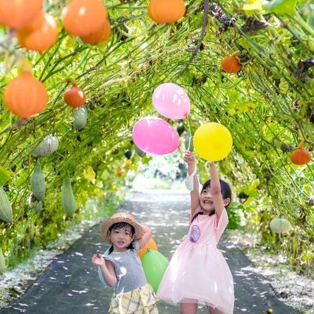 今天是520，大家一起用愛來防疫，一起加油  