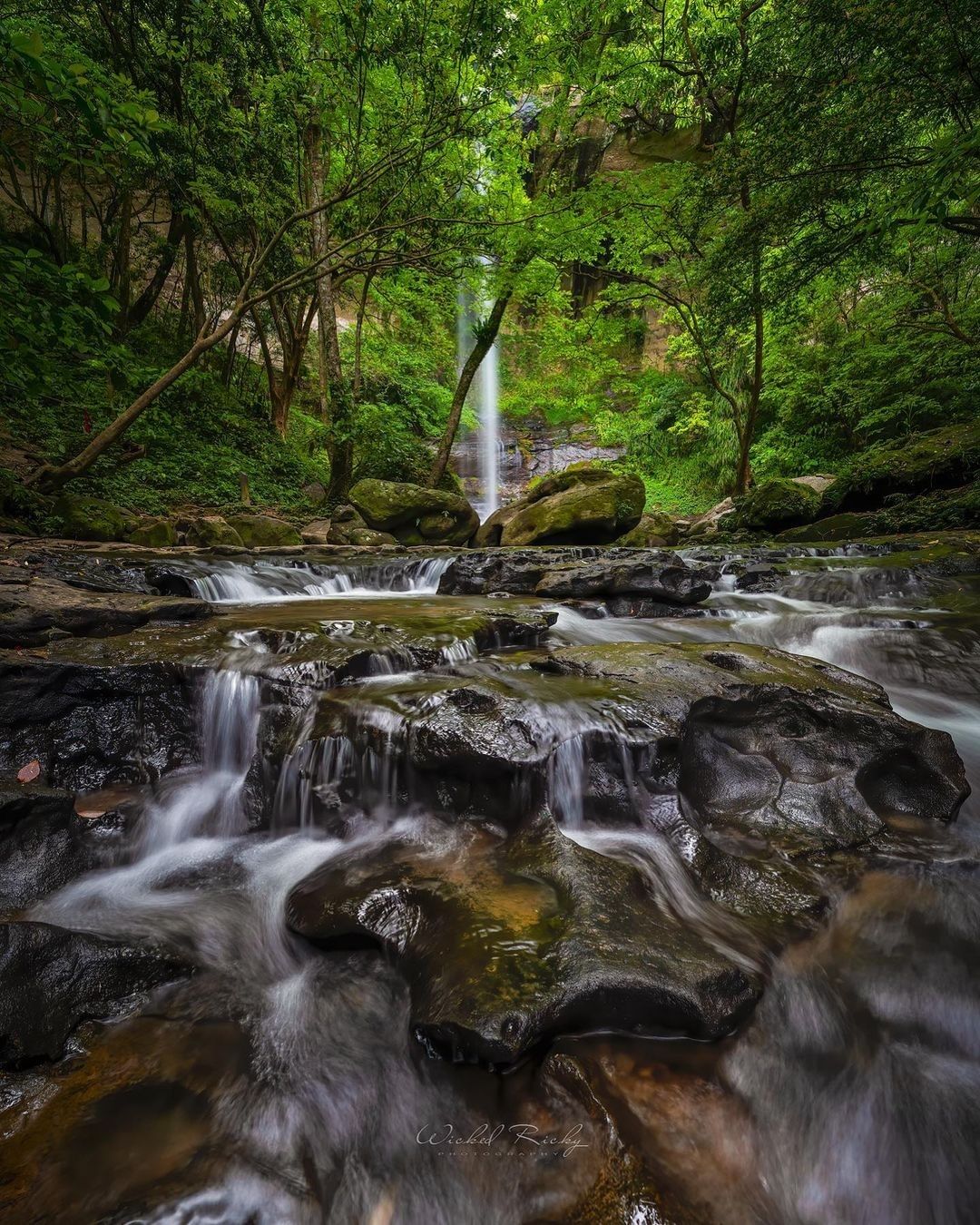 這是瑞芳的一條沁涼綠色秘境，看著照片彷彿也能感受到滿滿的芬多精吶！