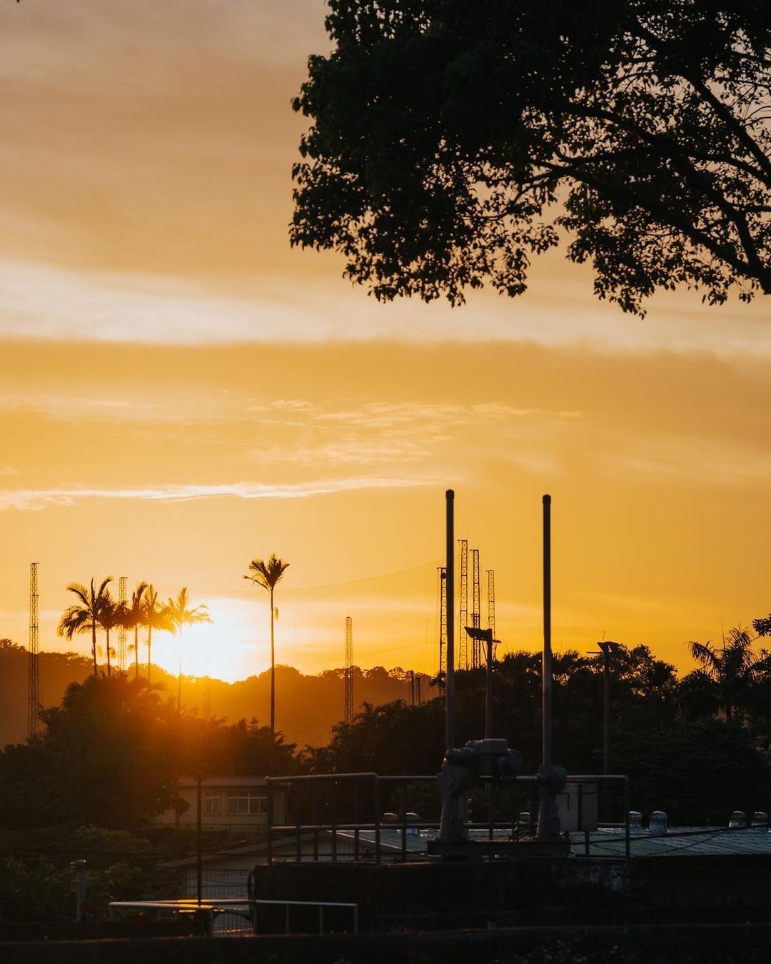 夕陽用溫暖的橘紅光照亮了整座城市，連心也暖洋洋的 ｡:.ﾟヽ(*´∀`)ﾉﾟ.:｡