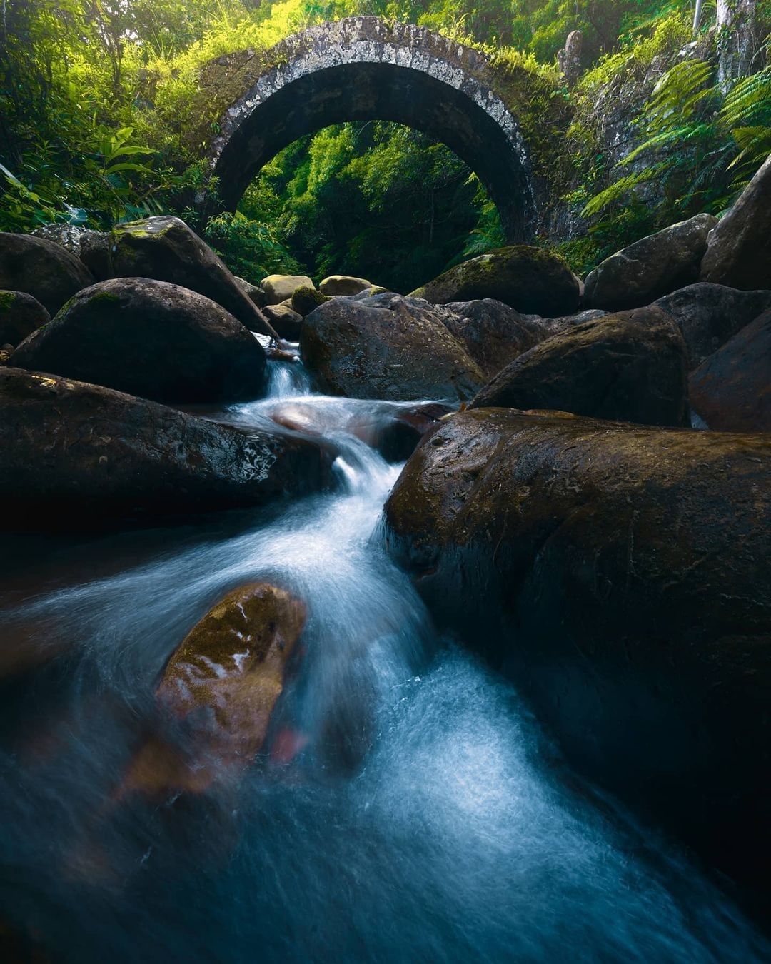 清澈的溪水與古樸典雅的石拱橋，如此清幽的秘境，我們先在家欣賞，希望疫情能早日結束，讓我們回到大自然的擁抱