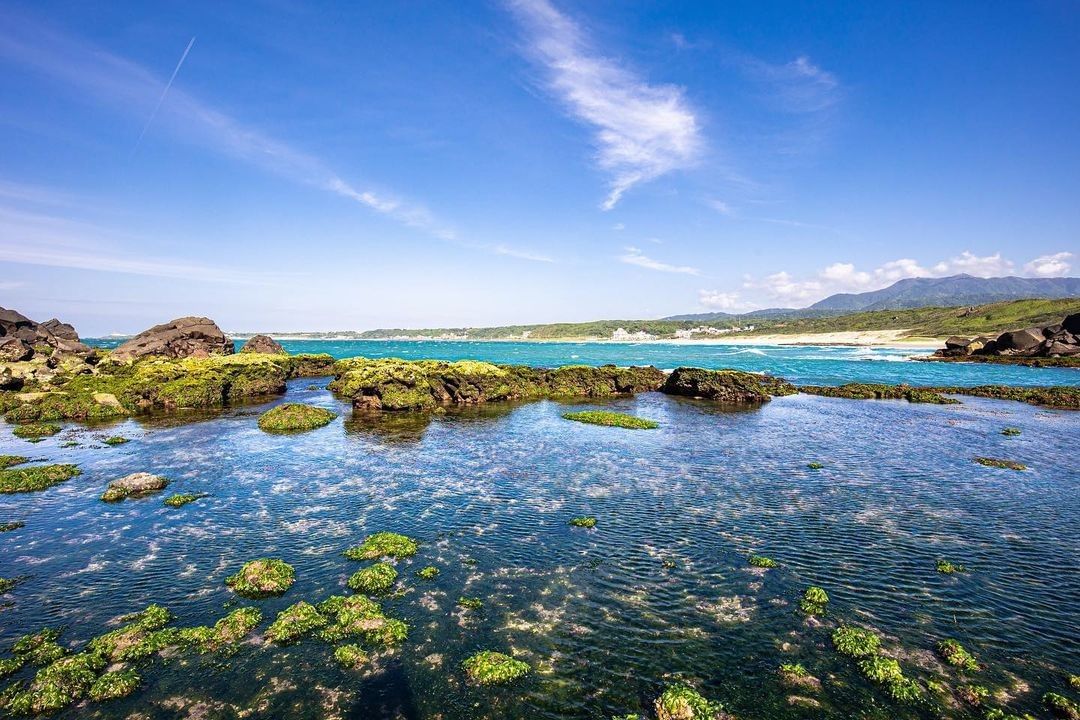 特殊的生態形成了美麗的風景，陽光將海面照得波光粼粼，將這美景點綴得更生動了。