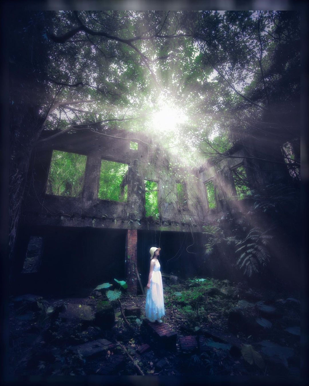 褪去的繁華，這裡仍被大自然所接納，陽光灑進，植物鬱鬱蔥蔥生長著