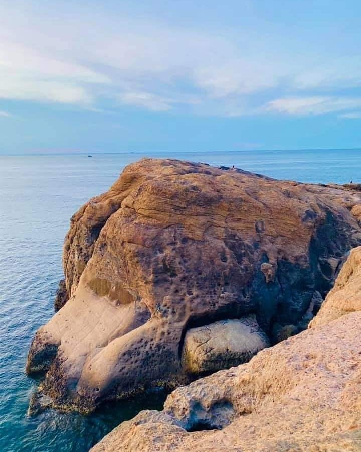 這渾然天成的岩石狗狗，是大自然的傑作，為這裡增添了不少生命氣息 🪨