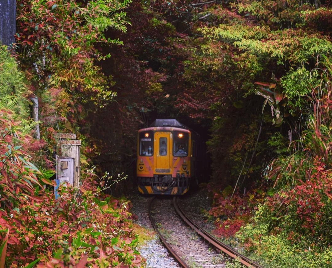 美的像童話的小鎮，火車彷彿是從童話故事裡開出來 