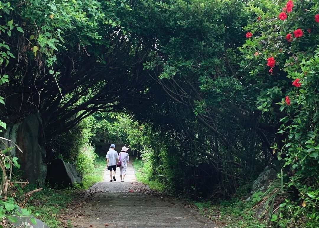 最感人的誓約莫過於「執子之手，與子偕老」。