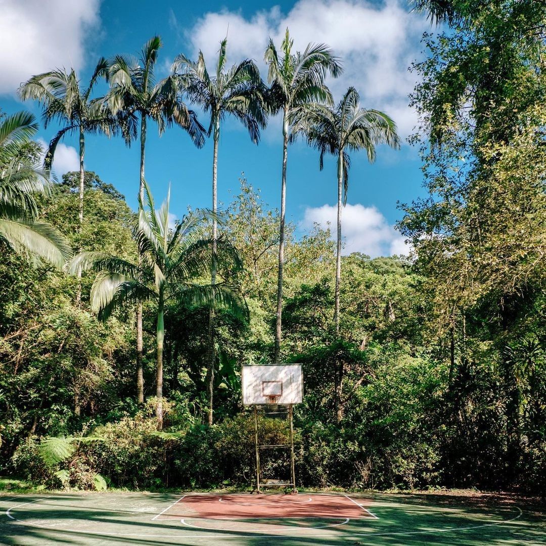 鬱鬱蔥蔥的植物，陽光照耀著，憶起小時候最期待下課鐘響，衝到球場，在太陽底下打球、奔跑的日子。