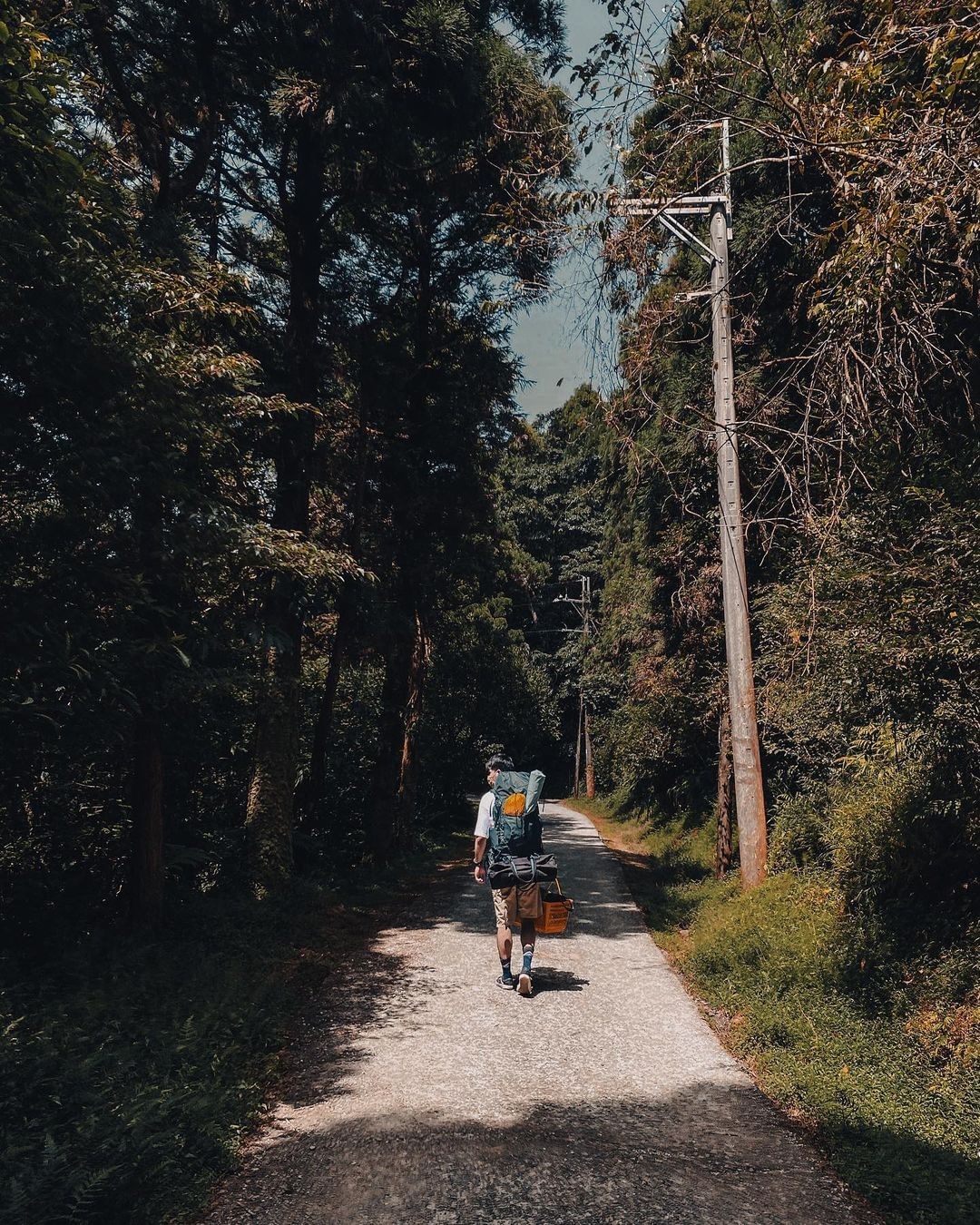 踏進山林裡，自由呼吸，找回最純真得自己；用一整座的山林，療癒身心。