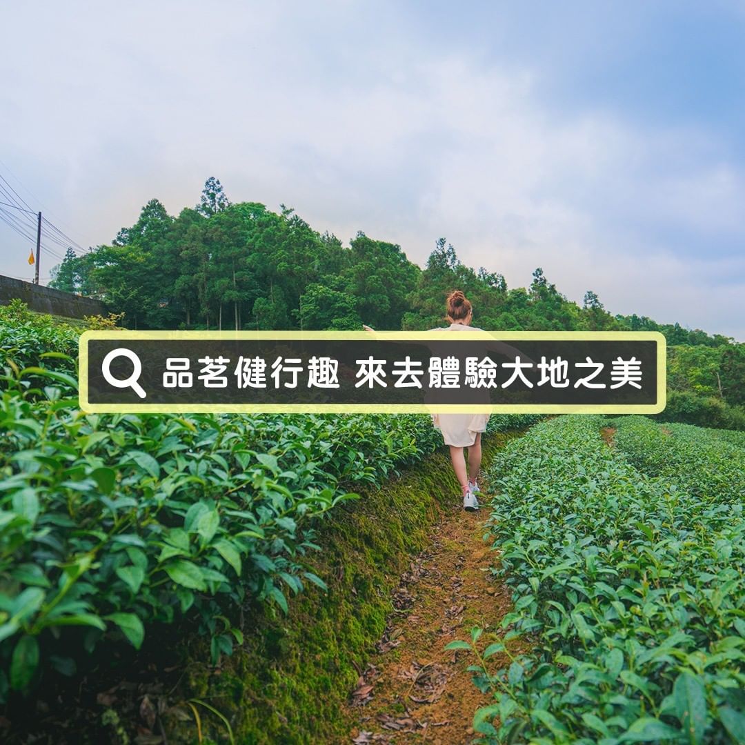 到了秋高氣爽的日子，