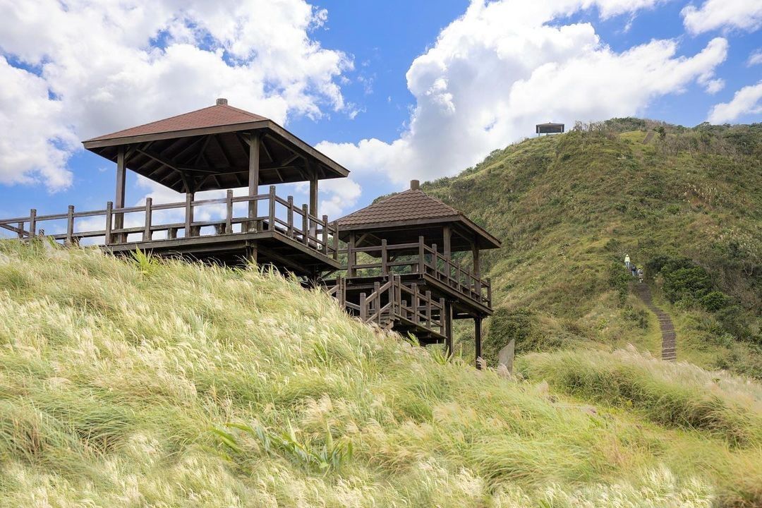 滿山片也的芒草，在這裡邂逅冬季的第一場白雪。