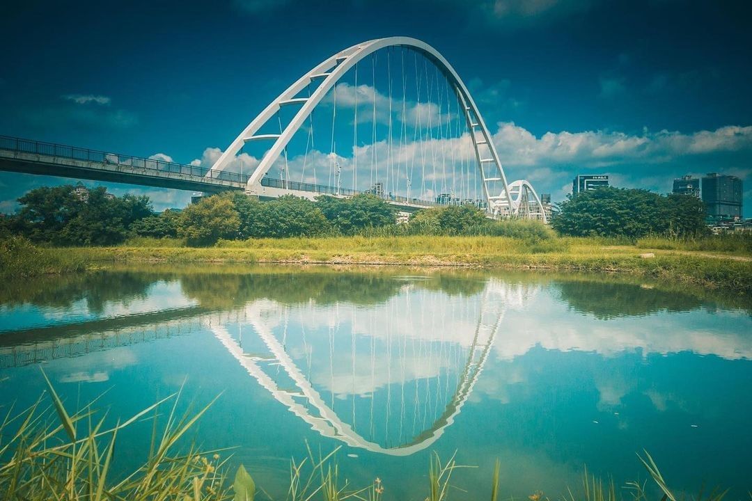 在橋上，可以看到這座城市宜人的風景；在橋下，可以看到濕地孕育豐富的生態。