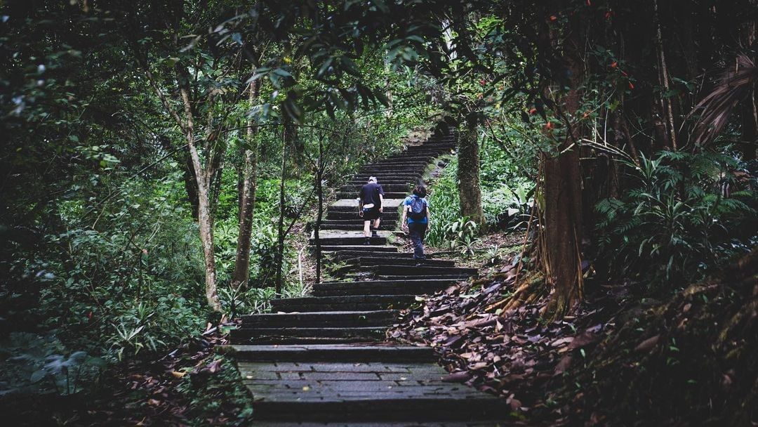 走进山林小径，呼吸纯净的空气，倾听山林的呢喃，在这个瞬间会发现生活的美好。