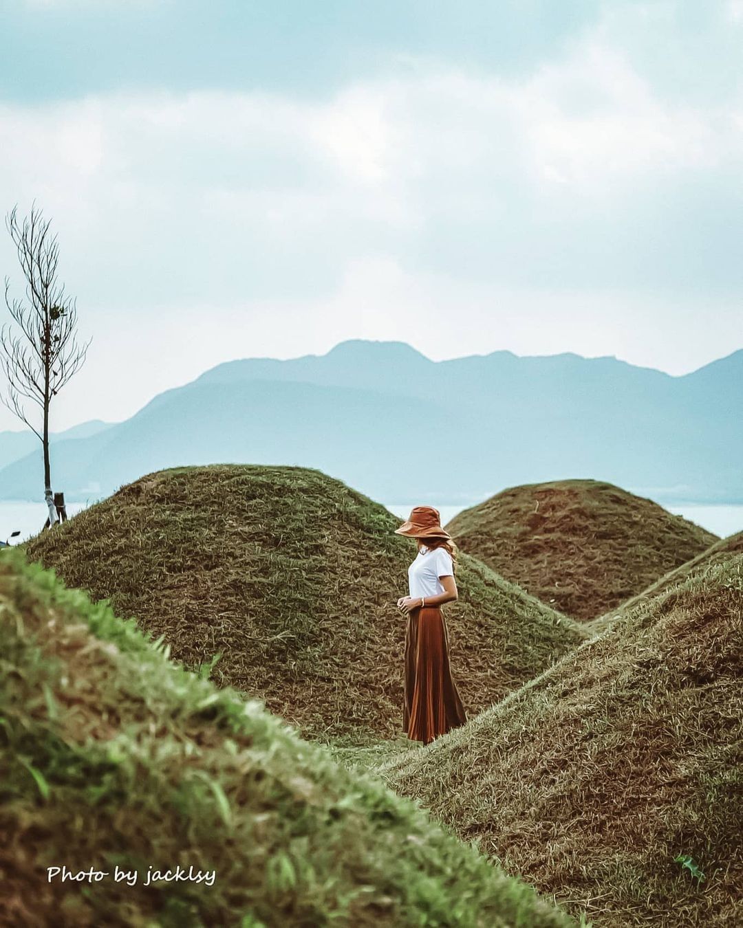 雙十一不孤單，有可愛的小山丘環繞，總是幸福的 ♥(´∀` )人