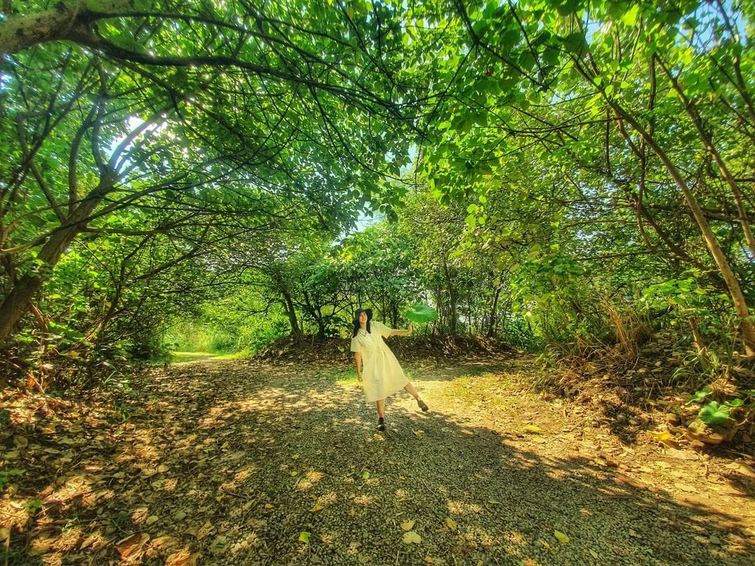  新北秘境+1  #大漢溪濕地綠色隧道