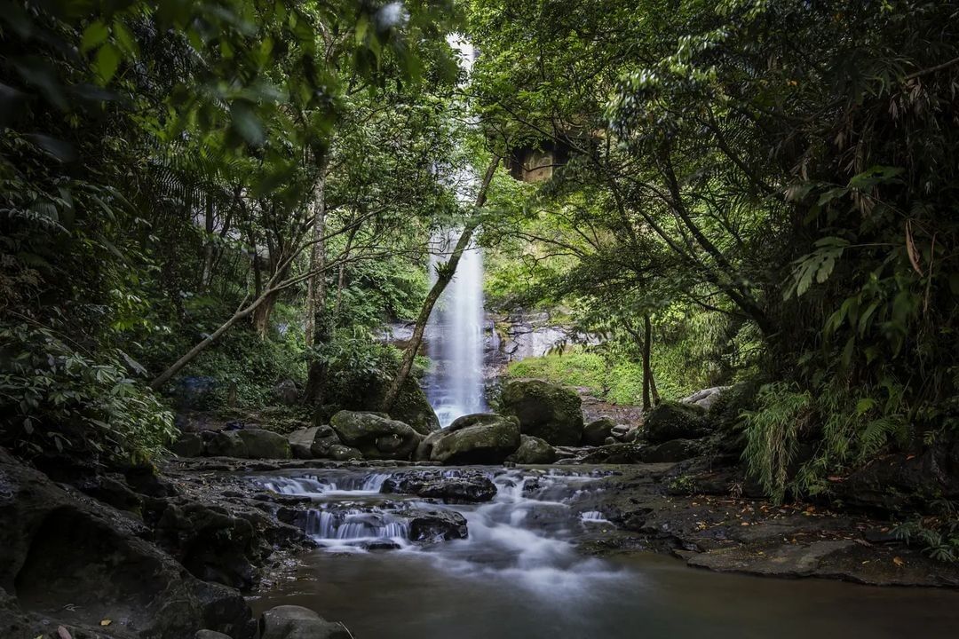 壯觀的瀑布被蓊鬱山林環抱，如此美景令人流連忘返。