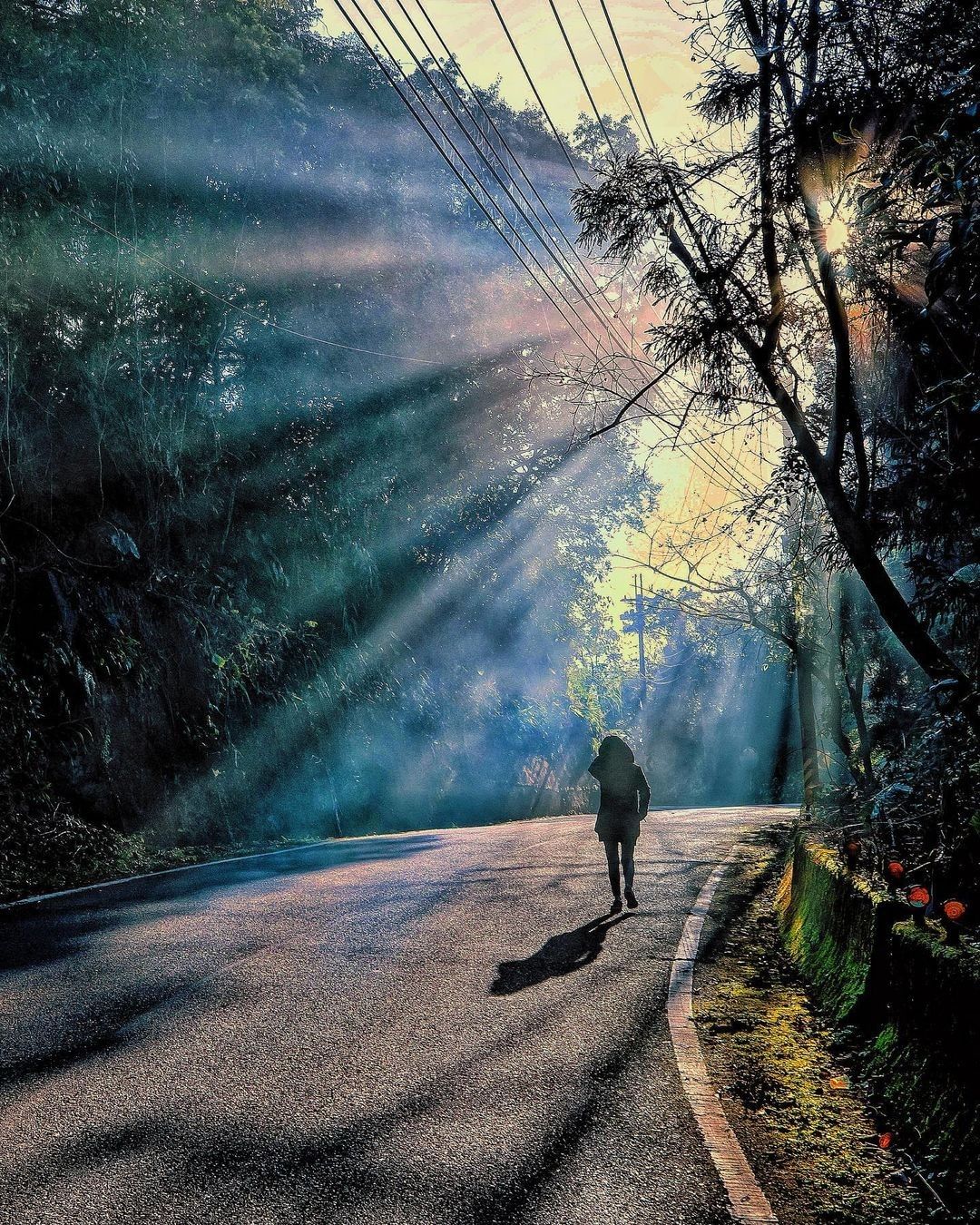 陽光從樹叢中灑下照映在身上，這段旅程變得耀眼而美麗 