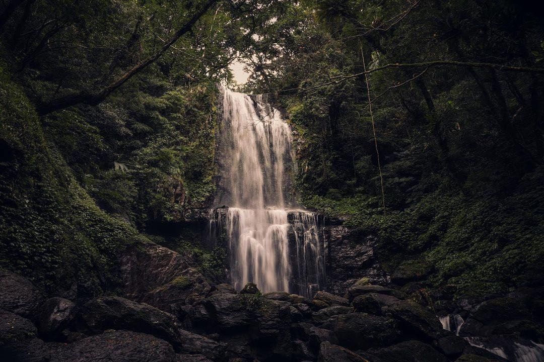 走進山林秘境，欣賞壯觀的瀑布，療癒一下自己。