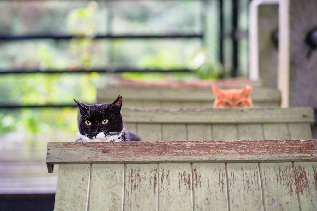 大家春節過得如何呀？