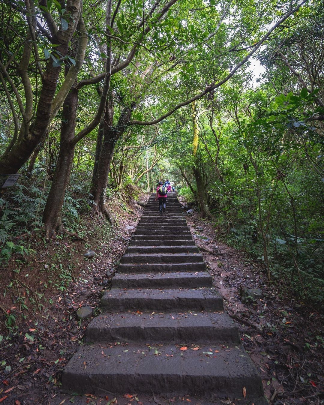 一步一腳印,走過層層石階,就能將美景一覽無遺,盡收眼底。