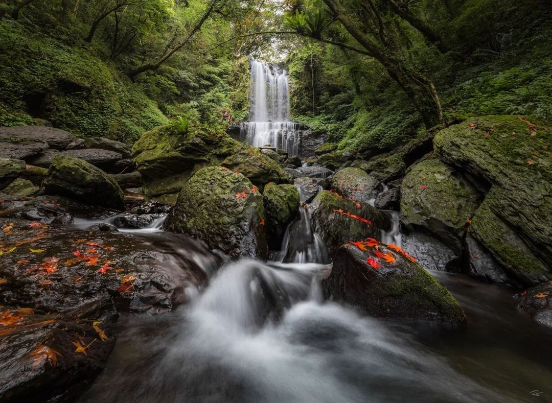 走入森林吸收負離子，舒緩疲倦和壓力