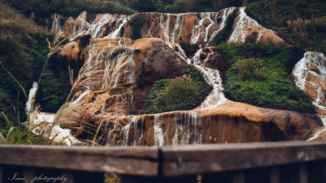 沈靜在嗅覺、視覺、聽覺的自然饗宴。