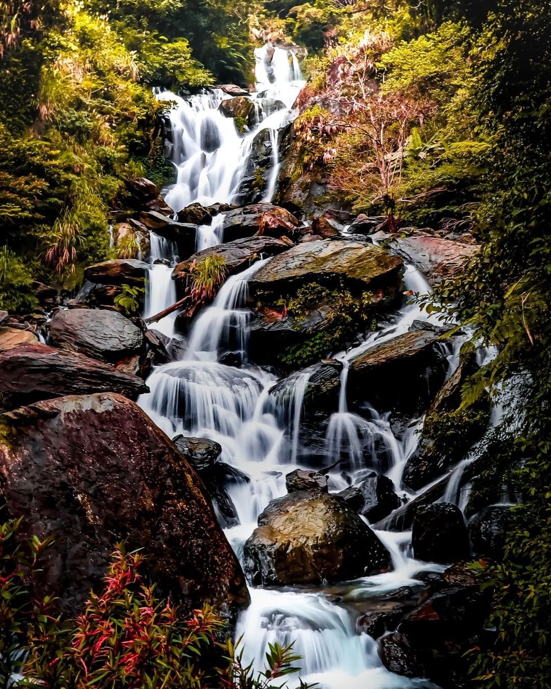 福山五星級秘境，源源不絕的負離子