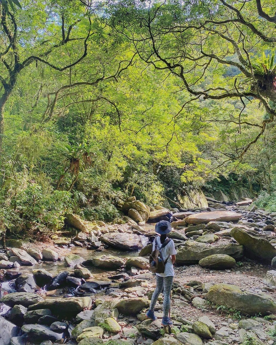 沿著溪流而行聆聽大自然美妙的樂章