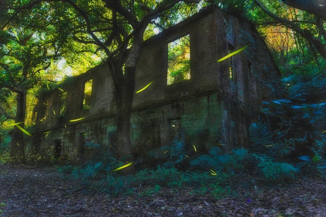 看著螢光閃呀閃 真的好療癒